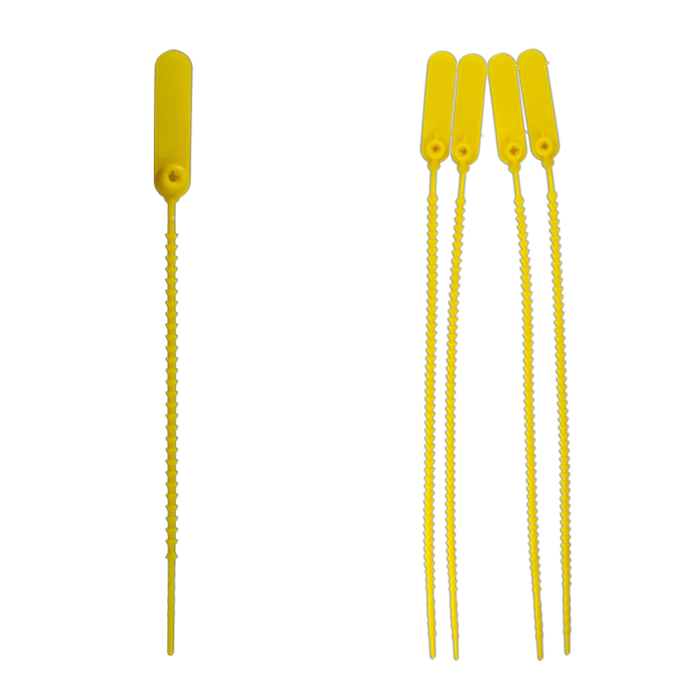 Categoria - Espinha de Peixe